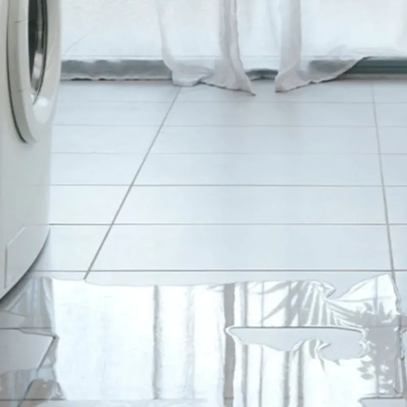 Appliance Leak Cleanup in Deatsville, AL