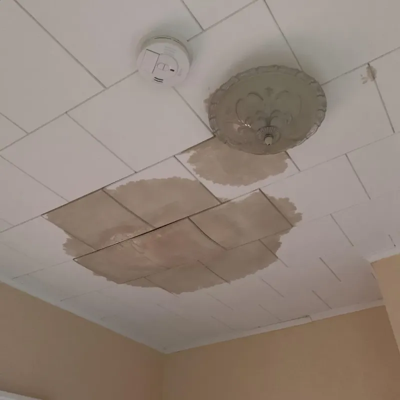 Ceiling Water Damage Repair in Deatsville, AL
