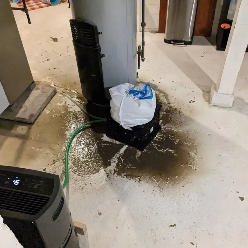 Sewage Backup Cleanup Service in Deatsville, AL